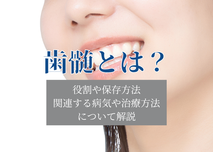 歯髄を残す理由や保存方法について解説